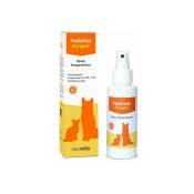Crème solaire pour chiens et chats heliovet spray