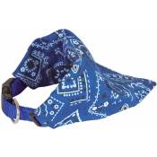 Doogy Classic - Collier chien bandana star bleu Taille : T3 - Bleu