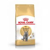 Royal Canin British Shorthair Adult-British Shorthair