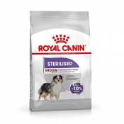 Royal Royal Canine Stérilisée Stérilisée 10kg 10000