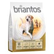 4x1kg Briantos Adult Maxi - Croquettes pour chien