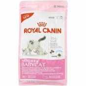 Croquette chat royalcanin babycat 400gr ROYAL CANIN