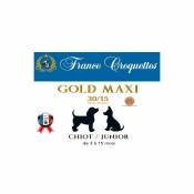 Gold Maxi Chiot / Junior Désignation : Gold Chiot