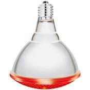 Interheat - Lampe ir rouge 250W - Rouge