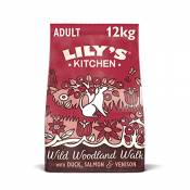 Lily's Kitchen pour chiens sans céréales Wild Lily