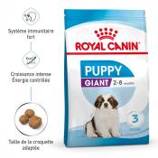 Royal Canin Giant Puppy - Croquettes pour chiot-Giant