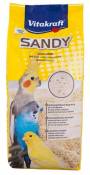 Sable Sandy BioFand pour Oiseaux 2.5 KG Vitakraft