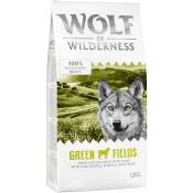 12kg Agneau Sans céréales Croquettes pour chien Green Fields Wolf of Wilderness