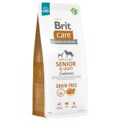 Lot Brit Care - Grain-free Senior & Light saumon, pommes de terre (2 x 12 kg)