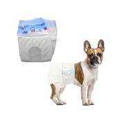 10 Couches Absorbantes Pour Chiens Taille S Petits