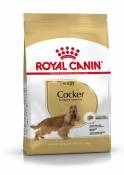 Nourriture Cocker Adult 12 KG Royal Canin