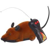 Tuserxln - Mini souris télécommandée souris chat jouet farces amusantes pour adultes marron