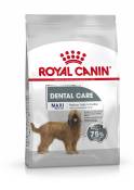 9kg Maxi Dental Care Royal Canin Care Nutrition - Croquettes