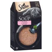 Mégapack Sheba Classic Soup 80 x 40 g pour chat -