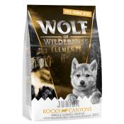 Offre découverte Croquettes Wolf of Wilderness sans céréales pour chien - Rocky Canyons Junior, bœuf élevé en liberté - mono-protéine (300 g)