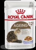 12+ vieillissement Cat Food humide Gélatine pour personnes