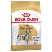 12kg Dalmatian Adult Royal Canin Breed pour chien