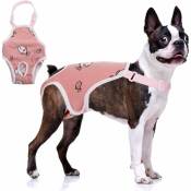 Csparkv - Taille: m Dog Diaper Culotte sanitaire avec Suspension, Pantalon physiologique pour Animaux de Compagnie, sous-vêtement Confortable