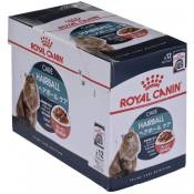 Royal Canin - Hairball Care Gravy Lot de 2 2 x 12 x