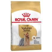 2x7,5kg Yorkshire Terrier Adult Royal Canin - Croquettes pour chien