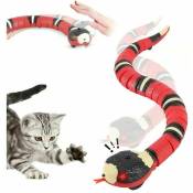 Fei Yu - Jouet interactif pour chat, serpent à détection
