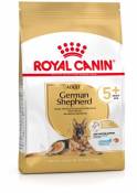 German Shepherd Adult 5+ 12 KG Royal Canin
