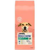 Purina - Dog Chow Light avec Turquie 14kg pour chiens