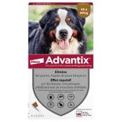 4 pipettes Advantix® très grand chien 40-60 kg -