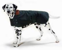 Cosipet Manteau de chasse pour chien