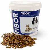 Fibor Supplément pour Problèmes Digestifs chez Chiens et Chats 500