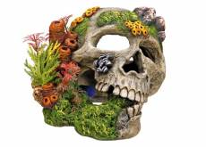 Nobby Crâne avec Plantes Décoration pour Aquarium