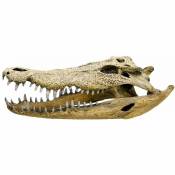 Nobby - Crâne de Crocodile Décoration pour Aquarium
