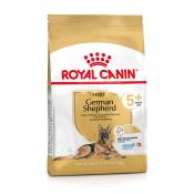 Royal Canin Berger Allemand Adult 5+ (German Sheperd) - Croquettes pour chien-Berger Allemand Adulte 5+