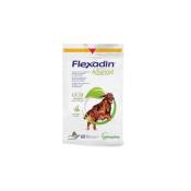 Flexadin adv. 60 comp