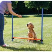 Obstacle Agility pour chien 123 × 115 cm, ø 3 cm