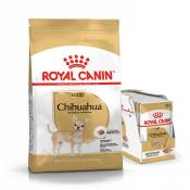 Royal Canin Chihuahua Adult - Croquettes pour chien-Chihuahua