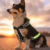 Vingo - Harnais pour chien à led Harnais pour chien à led Modes d'éclairage lumineux Rechargeable s