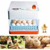 Gojoy - Incubateur automatique pour 24 œufs avec contrôle de l'humidité et transport automatique des œufs