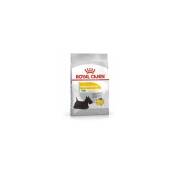 ROYAL CANIN Mini Dermacomfort - nourriture sèche pour chiens adultes de petites races à peau sensible sujette aux irritations - 3kg