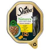 22x85g Sheba Nature's Collection en sauce poulet - Pâtée pour chat