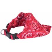 Doogy Classic - Collier chien bandana star rouge Taille : T3