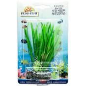 Ferribiella - Décoration de plantes aquatiques en