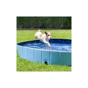 Ibanez - Piscine pour chiens Ibañez piscine - taille s