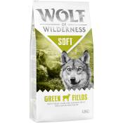 2x12kg Soft & Strong Green Fields agneau Wolf of Wilderness pour chien - Croquettes pour chien