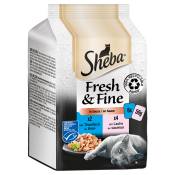 6x50g Sheba Délices du jour Fresh & Fine, Saumon et