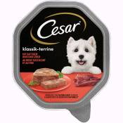 28x150g Les Classiques bœuf foie Cesar - Nourriture