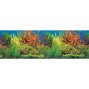 Fond décor pour aquarium, double - 120 × 50 cm