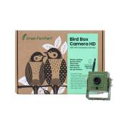 green feathers - caméra wifi pour nichoir à oiseaux (avec cable 10 m inclus)