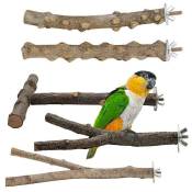 KZQ - Lot de 5 perchoirs en bois naturel pour oiseaux, perchoirs en bois naturel, accessoires pour oiseaux, perruches, jouets pour oiseaux, grimper