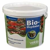 Velda - Bio-Oxydator pour 50m² - 122156